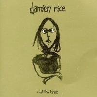 Rootless Tree Rootless Tree de Damien Rice