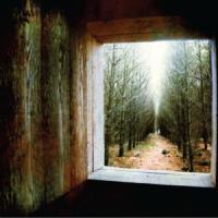 Canción 'For Emma' interpretada por Bon Iver Canción 'For Emma' interpretada por Bon Iver