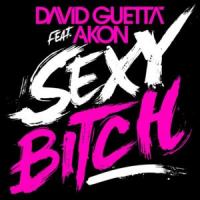 'Sexy Bitch' de Akon Sexy Bitch - Akon