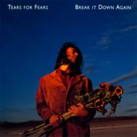 BREAK IT DOWN AGAIN, letra y canción de Tears For Fears BREAK IT DOWN AGAIN letra TEARS FOR FEARS