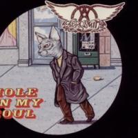 'Hole in my soul' de Aerosmith Hole in my soul - Aerosmith