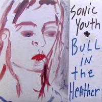 Canción 'Bull In The Heather' interpretada por Sonic Youth Canción 'Bull In The Heather' interpretada por Sonic Youth