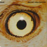 'Scar Tissue' de Red Hot Chili Peppers Scar Tissue - Red Hot Chili Peppers