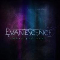 Canción 'What you want' interpretada por Evanescence Canción 'What you want' interpretada por Evanescence