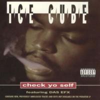 Canción 'Check Yo Self' interpretada por Ice Cube Canción 'Check Yo Self' interpretada por Ice Cube
