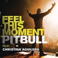Canción 'Feel This Moment' interpretada por Pitbull Canción 'Feel This Moment' interpretada por Pitbull