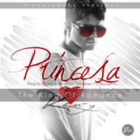 Princesa Princesa de Ken-y