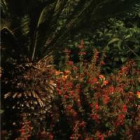 Canción 'Something Good' interpretada por Alt-J Canción 'Something Good' interpretada por Alt-J