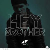 Hey Brother Hey Brother de Avicii