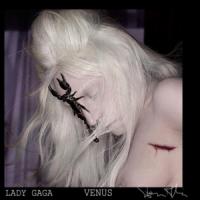 'Venus' de Lady Gaga Venus - Lady Gaga
