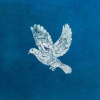 Magic Magic de Coldplay