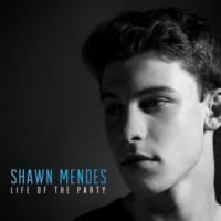 'Life Of The Party' de Shawn Mendes Life Of The Party - Shawn Mendes