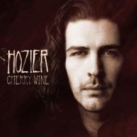 Canción 'Cherry Wine' interpretada por Hozier Canción 'Cherry Wine' interpretada por Hozier