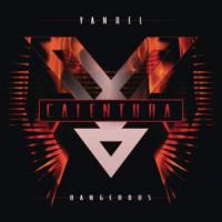 CALENTURA, letra y canción de Yandel CALENTURA letra YANDEL