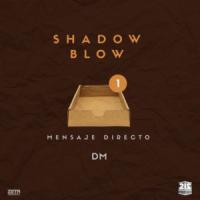 Canción 'Mensaje Directo' interpretada por Shadow Blow Canción 'Mensaje Directo' interpretada por Shadow Blow