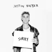 Sorry Sorry de Justin Bieber