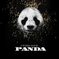 Canción 'Panda' interpretada por Desiigner Canción 'Panda' interpretada por Desiigner