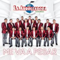 Canción 'Me Va A Pesar' interpretada por La Arrolladora Banda El Limón Canción 'Me Va A Pesar' interpretada por La Arrolladora Banda El Limón