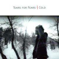 Canción 'Cold' interpretada por Tears For Fears Canción 'Cold' interpretada por Tears For Fears