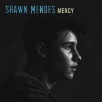 Canción 'Mercy' interpretada por Shawn Mendes Canción 'Mercy' interpretada por Shawn Mendes