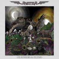 FOR THE SWARM, letra y canción de Avatar FOR THE SWARM letra AVATAR
