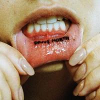 Canción 'Palm Trees' interpretada por SWMRS Canción 'Palm Trees' interpretada por SWMRS