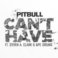 'Can't Have' de Pitbull Can't Have - Pitbull