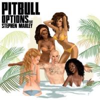 OPTIONS, letra y canción de Pitbull OPTIONS letra PITBULL