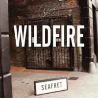 Canción 'Wildfire' interpretada por Seafret Canción 'Wildfire' interpretada por Seafret