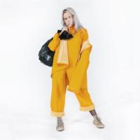 Canción 'Bellyache' interpretada por Billie Eilish Canción 'Bellyache' interpretada por Billie Eilish
