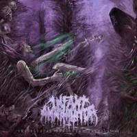 BLASPHEMIAN, letra y canción de Infant Annihilator BLASPHEMIAN letra INFANT ANNIHILATOR