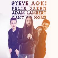 Canción 'Can't Go Home' interpretada por Adam Lambert Canción 'Can't Go Home' interpretada por Adam Lambert