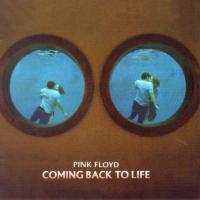 'Coming Back To Life' de Pink Floyd Coming Back To Life - Pink Floyd