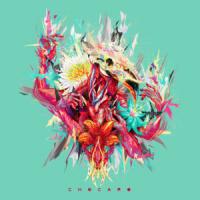 'Chúcaro' de Cocofunka Chúcaro - Cocofunka