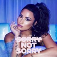 'Sorry Not Sorry' de Demi Lovato Letra Sorry Not Sorry Demi Lovato