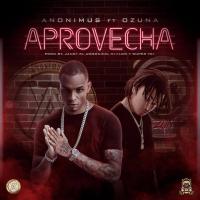 'Aprovecha' de Ozuna Aprovecha - Ozuna