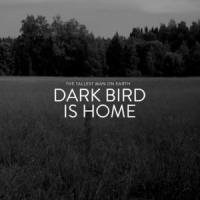 Canción 'Dark Bird Is Home' interpretada por The Tallest Man on Earth Canción 'Dark Bird Is Home' interpretada por The Tallest Man on Earth