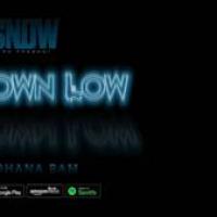 'Get Down Low' de Snow Tha Product Get Down Low - Snow Tha Product
