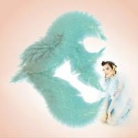 Canción 'Blissing Me' interpretada por Bjork Canción 'Blissing Me' interpretada por Bjork