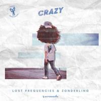Canción 'Crazy' interpretada por Lost Frequencies Canción 'Crazy' interpretada por Lost Frequencies