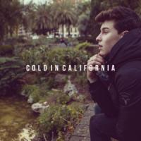 'Cold in California' de Shawn Mendes Cold in California - Shawn Mendes