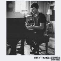 'What If I Told You a Story' de Shawn Mendes What If I Told You a Story - Shawn Mendes