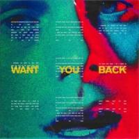 Want You Back Want You Back de 5 Seconds of Summer