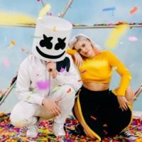 Canción 'Friends' interpretada por Marshmello Canción 'Friends' interpretada por Marshmello