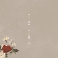 'In My Blood' de Shawn Mendes In My Blood - Shawn Mendes