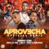 Aprovecha Remix Aprovecha Remix de Ozuna