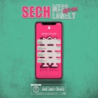 Miss Lonely Remix Miss Lonely Remix de Sech