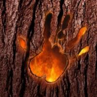 LA VIDA ES TODO LO QUE VOS QUIERAS, letra y canción de Arbol LA VIDA ES TODO LO QUE VOS QUIERAS letra ARBOL