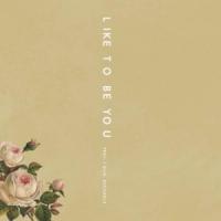 Like To Be You Like To Be You de Shawn Mendes