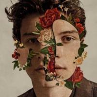 Canción 'Particular Taste' interpretada por Shawn Mendes Canción 'Particular Taste' interpretada por Shawn Mendes